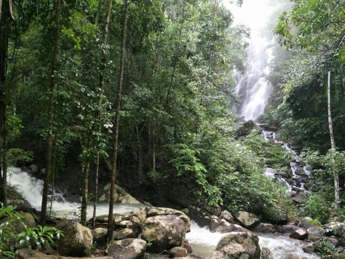 Rumah tetamu Beaubo 3*